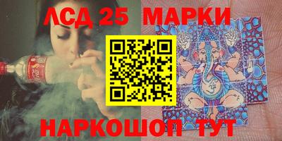 крисы Моздок