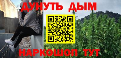 крисы Моздок