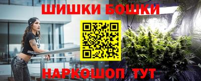 крисы Моздок